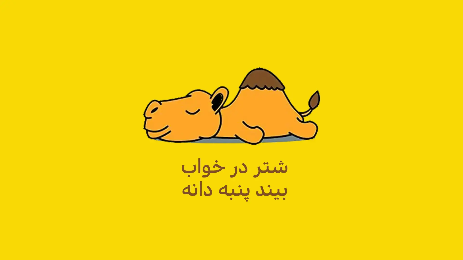 شتر در خواب بیند پنبه دانه به زبان عربی